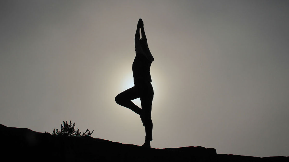 Exercise and MS